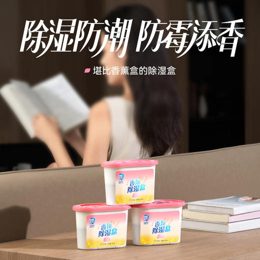 彩虹卫士元气白桃香氛除湿盒 商品图4