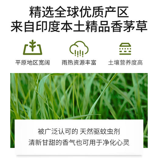 香茅精油单方精油 10ml 商品图2