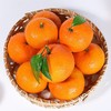 [最农公社]广西武鸣茂谷柑3斤5斤9斤中果大果当季新鲜大果石灰脏脏柑橘 商品缩略图5