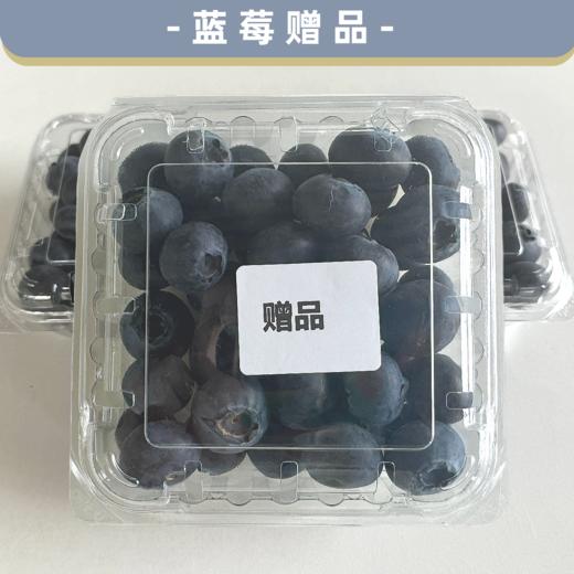 蓝莓赠品 商品图0