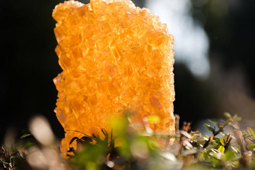 臻和 多晶体冰糖手工老冰糖 *基地直发 商品图0