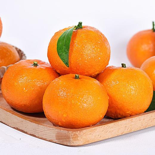 [最农公社]广西武鸣茂谷柑3斤5斤9斤中果大果当季新鲜大果石灰脏脏柑橘 商品图6