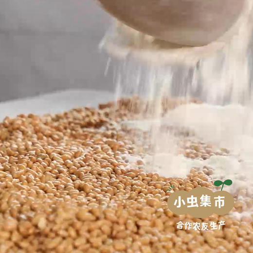 山西生态古法酱油 248ml*2瓶 | 合作农友生产，来自山西太谷，生产者：贺健增 ＆【公平贸易农人定价】 商品图7