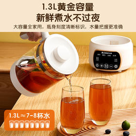 志高恒温热水壶烧水婴儿冲奶家用智能保温调奶器一体温奶暖奶小型