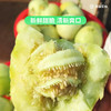 马连庄甜瓜礼盒4斤装【分仓直发，72小时发货，周末节假日不发货】 商品缩略图4
