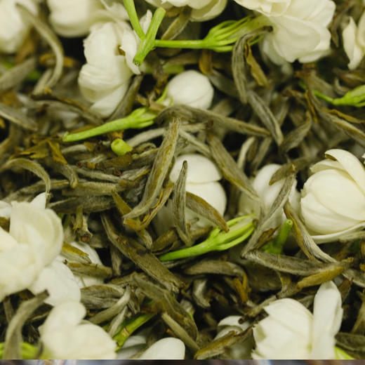 福州茉莉花茶  芳香浓郁 一闻知茶香 福州花茶口味 商品图1