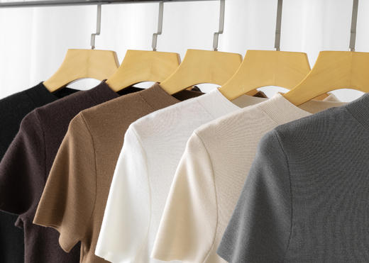 【高品质私服】【扬子精纺羊毛四平半高领短袖】德国斯托尔16针细针加工，针法细腻平整YS24090-CC 商品图2