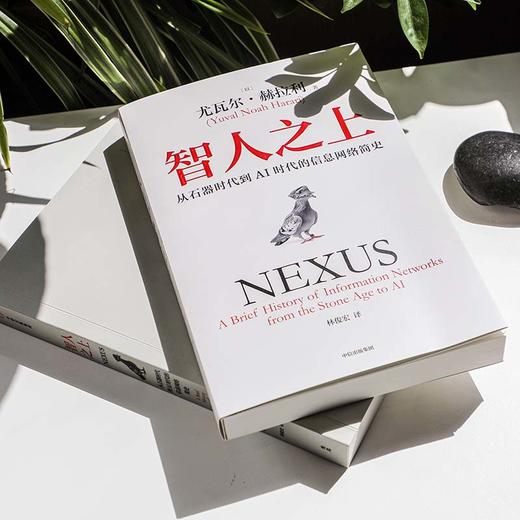 【樊登好书】智人之上-正版图书 商品图4