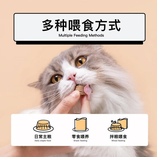 灵宠物语宠物零食三文鱼冻干60g 商品图2