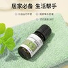 薄荷精油单方精油 10ml 商品缩略图2