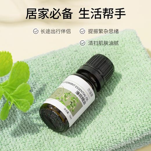 薄荷精油单方精油 10ml 商品图2