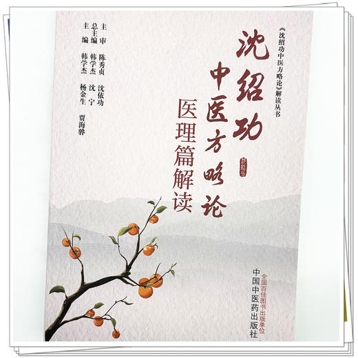 沈绍功中医方略论医理篇解读  韩学杰 杨金生 贾海骅 主编 中国中医药出版社 《沈绍功中医方略论》解读丛书 商品图3