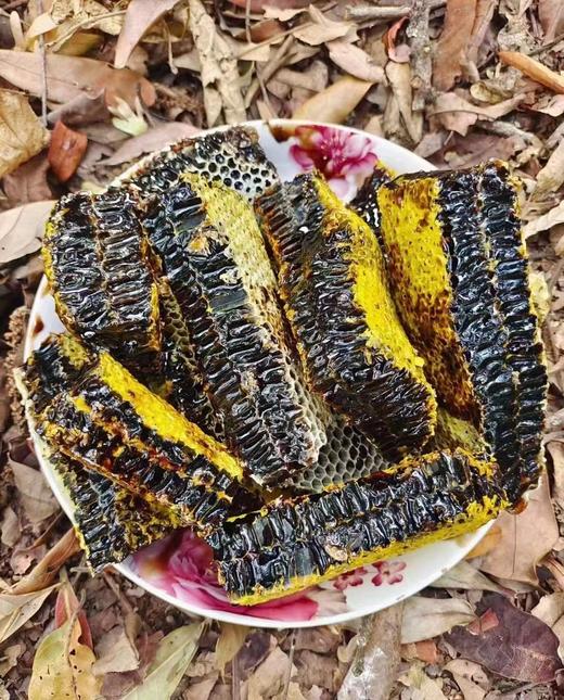 黑金宝藏【云南黑蜂蜜】蜂蜜界的 “大熊猫”黑蜂酿造 坚持传统古法 让蜂蜜自然成熟 花香扑鼻 醇厚丝滑 商品图6