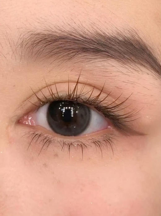 wecute 豆豆黑 日抛 十片 14.2mm 参考着色 13.4mm 基弧 8.6 含水 40% 新锐国货 商品图1