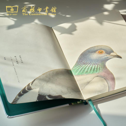 科普手账本  飞羽/识花 【商务印书馆涵芬文创】 商品图4