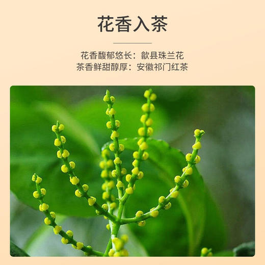 祥源茶丨珠兰祁红毛峰 特级 花茶100g 罐装 商品图1