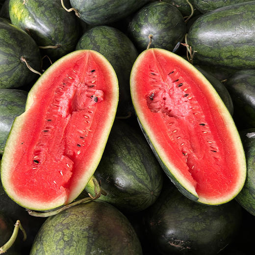 【分仓直发包邮】黑美人西瓜1个装（4-5斤） 商品图0