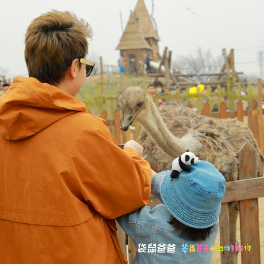 25年复团！【袋鼠爸爸去哪儿丨长安唐村·诗唐宿集民宿】城南半小时的宝藏目的地，多房型可选，静谧温馨像住在大自然，赠唐村门票+萌宠乐园门票，百亩草坪乐园畅玩，全家聚会露营秘境，邂逅梅园赏景超出片 商品图7