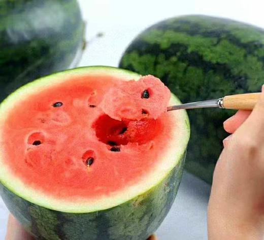 【分仓直发包邮】黑美人西瓜1个装（4-5斤） 商品图1