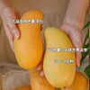 海南树上熟即食金煌芒  京东发货 商品缩略图2