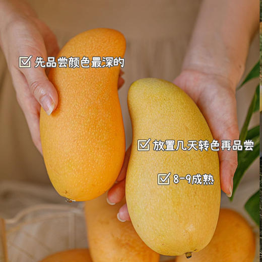 海南树上熟即食金煌芒  京东发货 商品图2