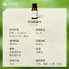 罗勒精油单方精油 10ml 商品缩略图3