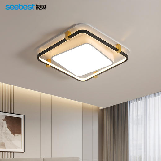 墨影系列卧室灯(智能离线语音控制)（长方停产） 商品图2