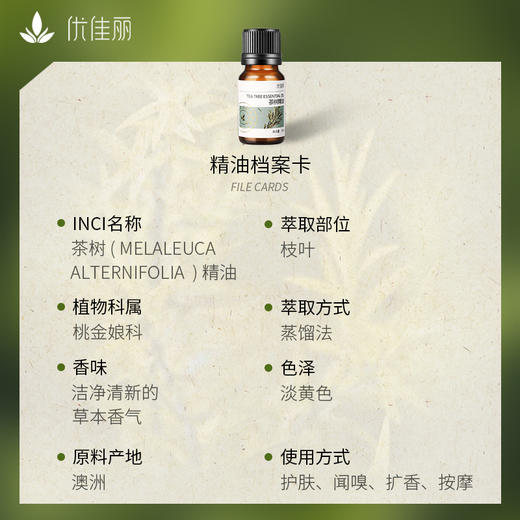 茶树精油单方精油 10ml 商品图4