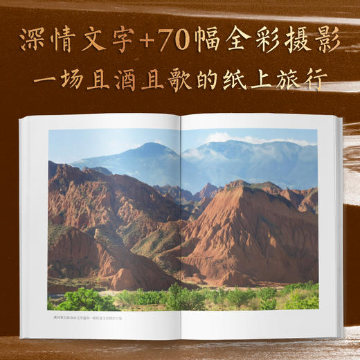 大河源（贯通人文与地理，用华美文字，解说黄河的形成、演变，民族的发展、融合，一场且酒且歌的纸上旅行。果麦出品） 商品图1