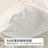 都市丽人日常休闲莫代尔平角60S莫代尔平角裤FKHH08 商品缩略图8