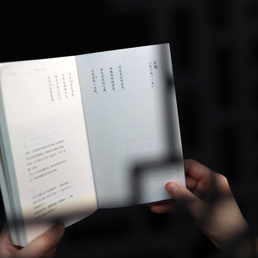 《何妨自恋：李商隐诗选李清照词选》 商品图6