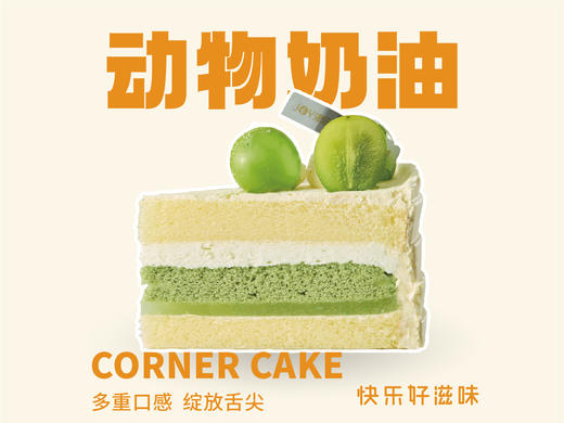 茉上青提 商品图0