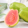 新鲜水果 番石榴红心芭乐 1枚 商品缩略图2