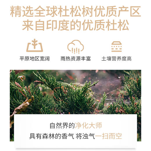 杜松精油单方精油 10ml 商品图1