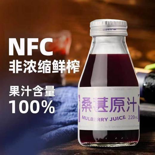 厚珍万物 非浓缩鲜榨桑葚原汁不加水 纯鲜果原榨果汁含量100%新鲜果蔬汁 0添加0脂肪健康无负担 商品图2