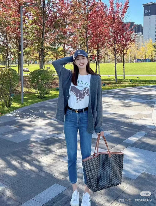 goyard戈雅棕色（原厂皮） 商品图0