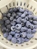 新鲜水果 云南蓝莓25+  250g盒装 商品缩略图0