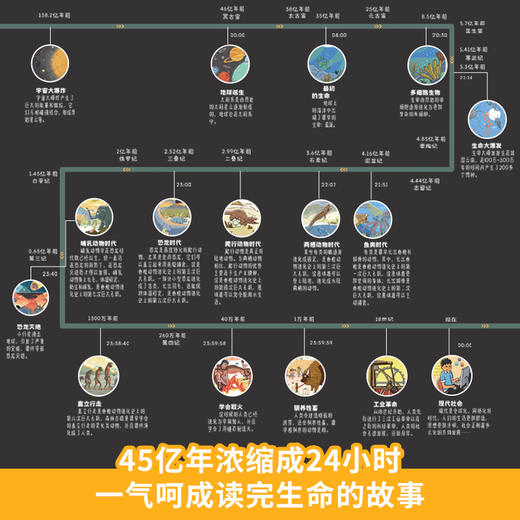 生命的一天 商品图4