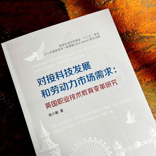 对接科技发展和劳动力市场需求 英国职业技术教育变革研究 商品图5