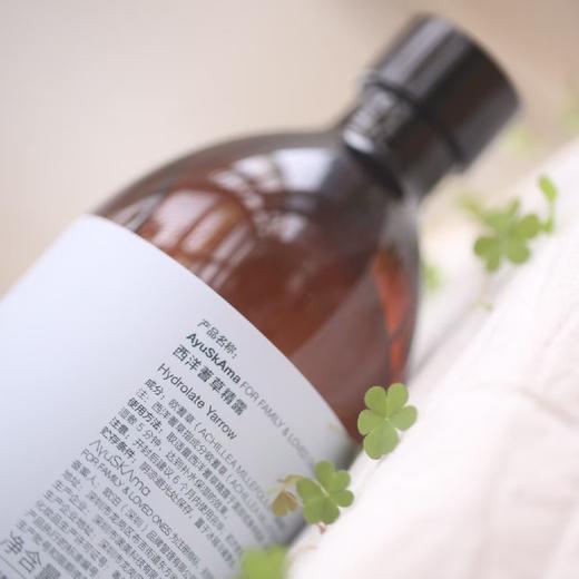 猫太推荐---AyuSkAma西洋蓍草精露 商品图0
