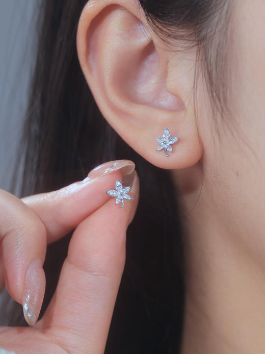 卡蒂罗/KADER 星光花语耳钉  闪耀五瓣花清新浪漫轻奢小众不撞款纯银耳饰 秋冬百搭氛围感养耳洞配饰 优雅高级感情人节 商品图3
