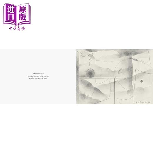 预售 【中商原版】Gerhard Richter: Foricano 进口艺术 格哈德 里希特 David Zwirner Books 商品图1