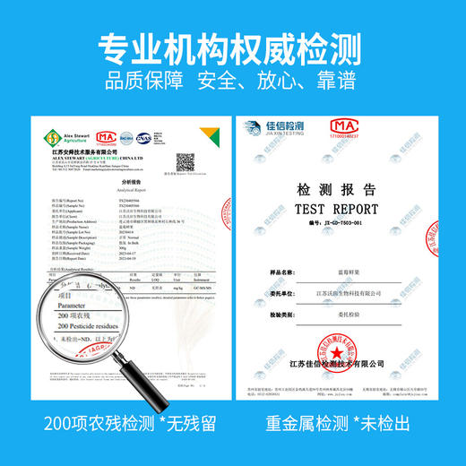 【特惠价】国产沃田蓝蓝莓125g*8盒装（果径18mm）【分仓直发，72小时发货，周末节假日不发货】 商品图4