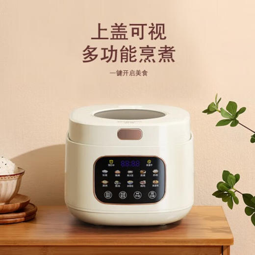 【分仓直发包邮】创维电饭煲3L  F633 商品图2