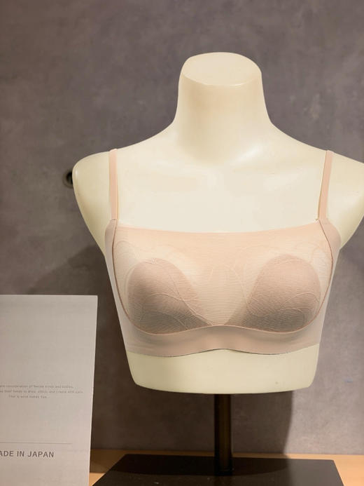 官网589！法式蕾丝轻薄兔耳杯无钢圈软支撑文胸罩女 抹胸美背内衣 商品图3