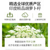 胡萝卜籽精油单方精油 10ml 商品缩略图2