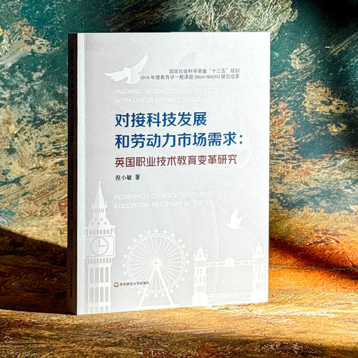 对接科技发展和劳动力市场需求 英国职业技术教育变革研究 商品图3