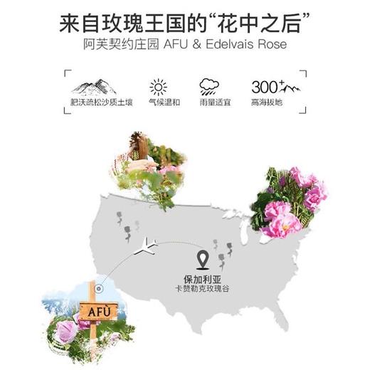 阿芙大马士革玫瑰纯露喷雾90ml/瓶 商品图4