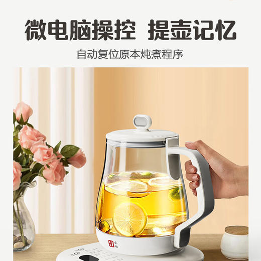 【分仓直发包邮】小句养生壶1.7L  XJS08 商品图4