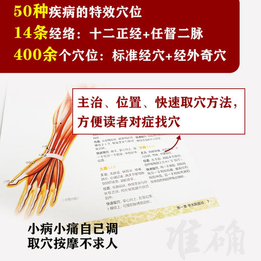 人体经络穴位标准大图册 商品图4